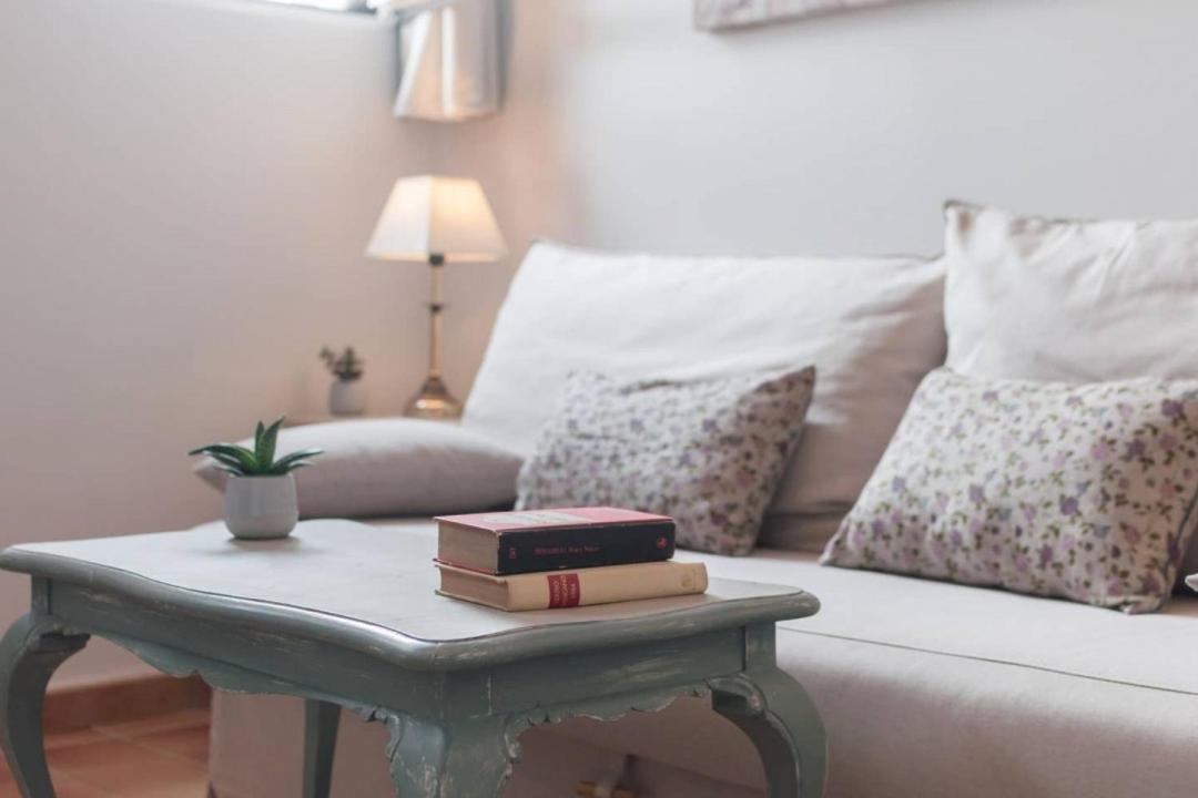 Cozy One-bedroom Penthhouse La Latina * Madri